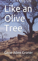 Like an Olive Tree