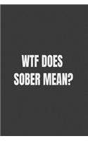 Wtf Does Sober Mean?