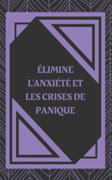 Élimine l'Anxiété Et Les Crises de Panique: Qu'est-ce que l'ANXIÉTÉ ? Qui en souffre ? Comment obtenir de l'aide ? Comment les prévenir ? Des clés puissantes!