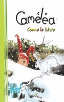 Caméléa comme le lièvre