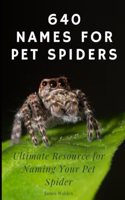 640 Names for Pet Spiders