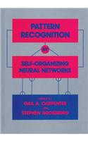 Pattern Recognition by Self-Organizing Neural Networks