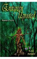 Evergreen Uprooted: Memoirs of Secret