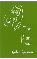The Plant