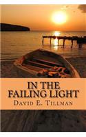 In the Failing Light