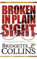 Broken in Plain Sight