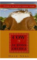 Cow Across America