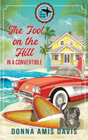 Fool on the Hill in a Convertible