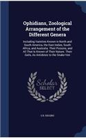 Ophidians, Zoological Arrangement of the Different Genera