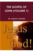 Gospel of John (Volume 1)