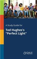A Study Guide for Ted Hughes's "Perfect Light"
