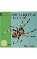 Spiders Up Close / Las Aranas