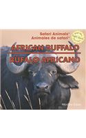African Buffalo / Búfalo Africano