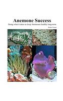Success With Anemones