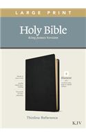 KJV Large Print Thinline Reference Bible, Filament Edition (Genuine Leather, Black)