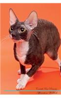 Cornish Rex Affirmations Workbook Cornish Rex Presents: Positive and Loving Affirmations Workbook. Includes: Mentoring Questions, Guidance, Supporting You.