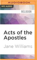 Acts of the Apostles: (How to Believe)
