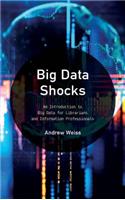 Big Data Shocks