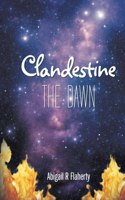 Clandestine