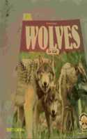 Wolves for Kids