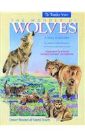 Wonder of Wolves: A Story & Activities