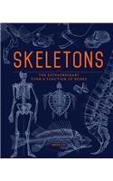 Skeletons: The Extraordinary Form & Function of Bones