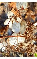 2020 Daily Planner Dry Hydrangea Flowers 388 Pages