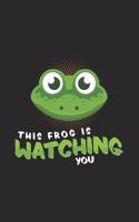 This Frog is watching you