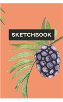 Sketchbook