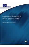 Comparative Evaluation of Sludge Reduction Routes