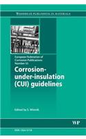 Corrosion-Under-Insulation (CUI) Guidelines