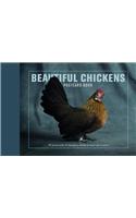 Beautiful Chickens Postcard Book