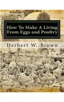 How To Make A Living From Eggs and Poultry