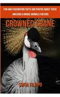 Crowned Crane