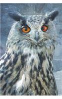 Nightfall For An Eagle Owl - Lined Notebook with Margins: 101 Pages, Medium Ruled, 6 x 9 Journal, Soft Cover