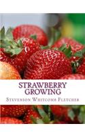 Strawberry Growing