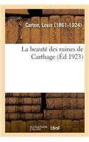 La Beauté Des Ruines de Carthage