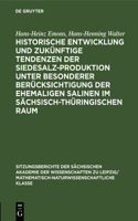 Historische Entwicklung Und Zukünftige Tendenzen Der Siedesalz-Produktion Unter Besonderer Berücksichtigung Der Ehemaligen Salinen Im Sächsisch-Thüringischen Raum