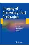 Imaging of Alimentary Tract Perforation