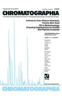 CE in Biotechnology: Practical Applications for Protein and Peptide Analyses