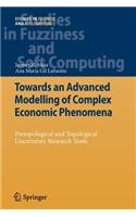 Towards an Advanced Modelling of Complex Economic Phenomena