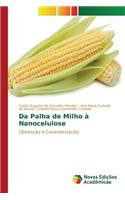 Da Palha de Milho à Nanocelulose