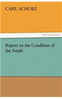 Report on the Condition of the South: (English)
