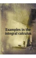 Examples in the integral calculus: (English)