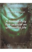 A northern lily five years of an uneventful life