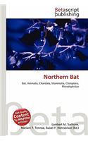 Northern Bat: (English)