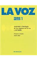 La Voz T-I