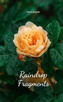 Raindrop Fragments