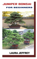 Juniper Bonsai for Beginners