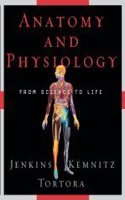 Anatomy and Physiology